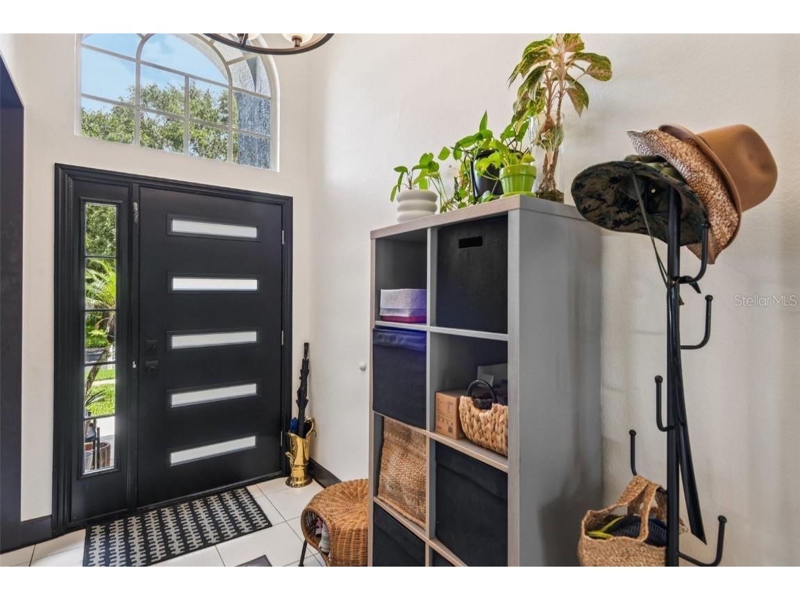 1266 Paradise Lake Drive Tarpon Springs FL 34689 - North Lake TB8436695 image3