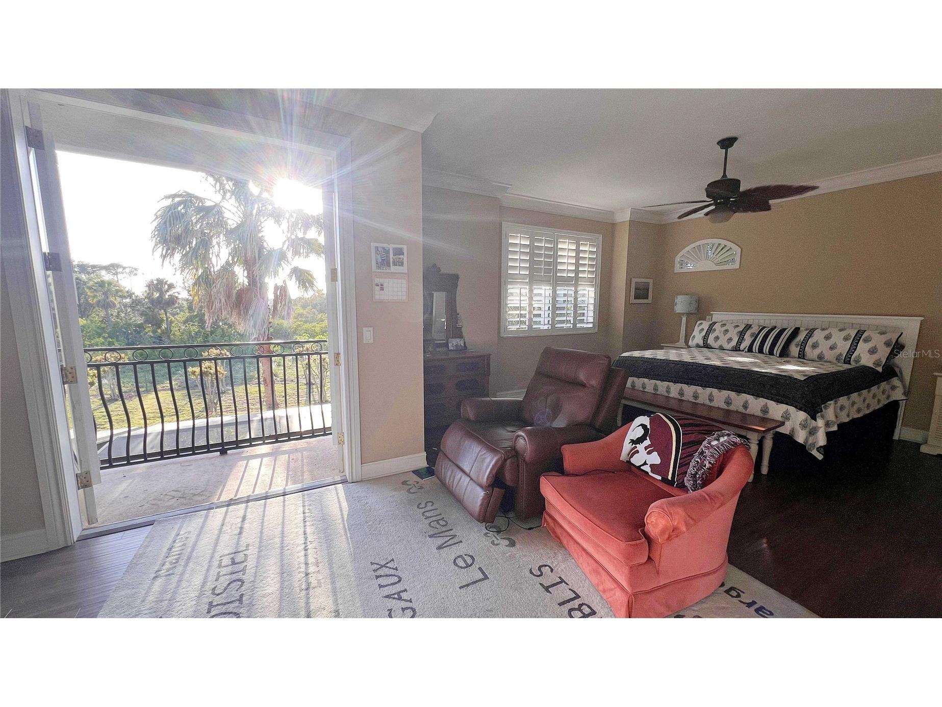 1266 Ribolla Drive Palm Harbor FL 34683 TB8497284 image15
