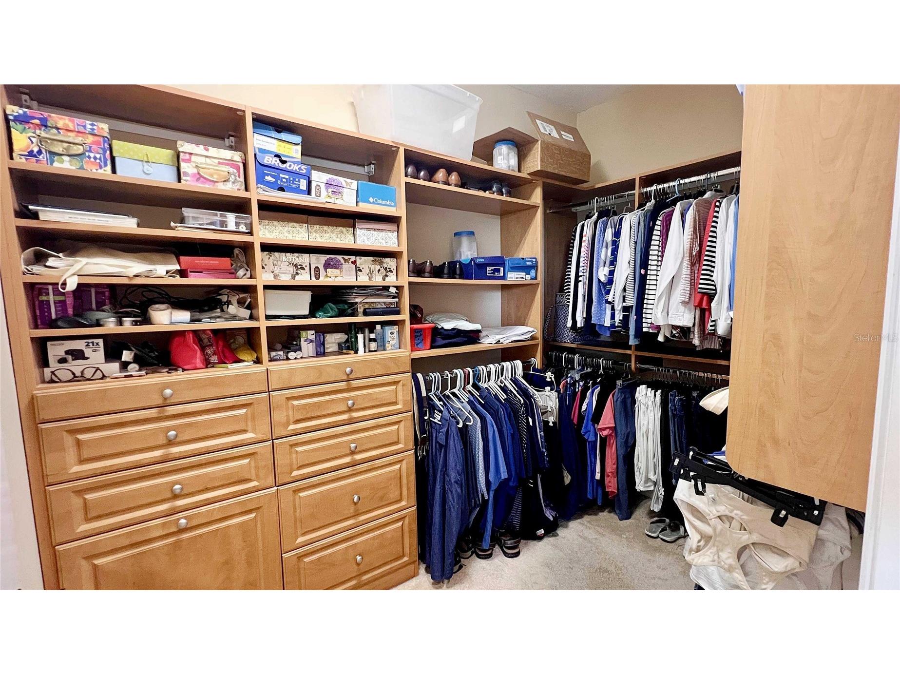 1266 Ribolla Drive Palm Harbor FL 34683 TB8497284 image17