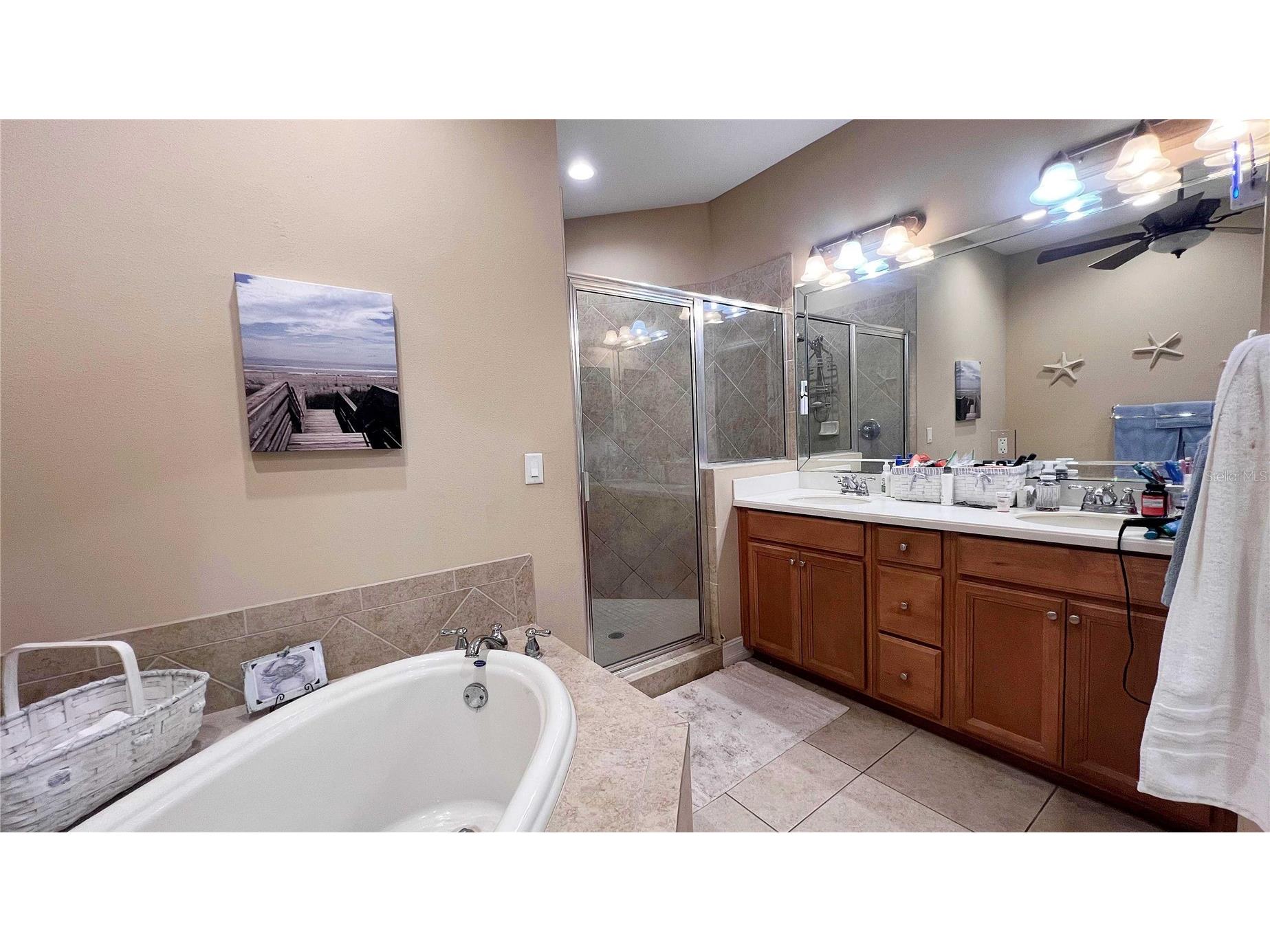 1266 Ribolla Drive Palm Harbor FL 34683 TB8497284 image18