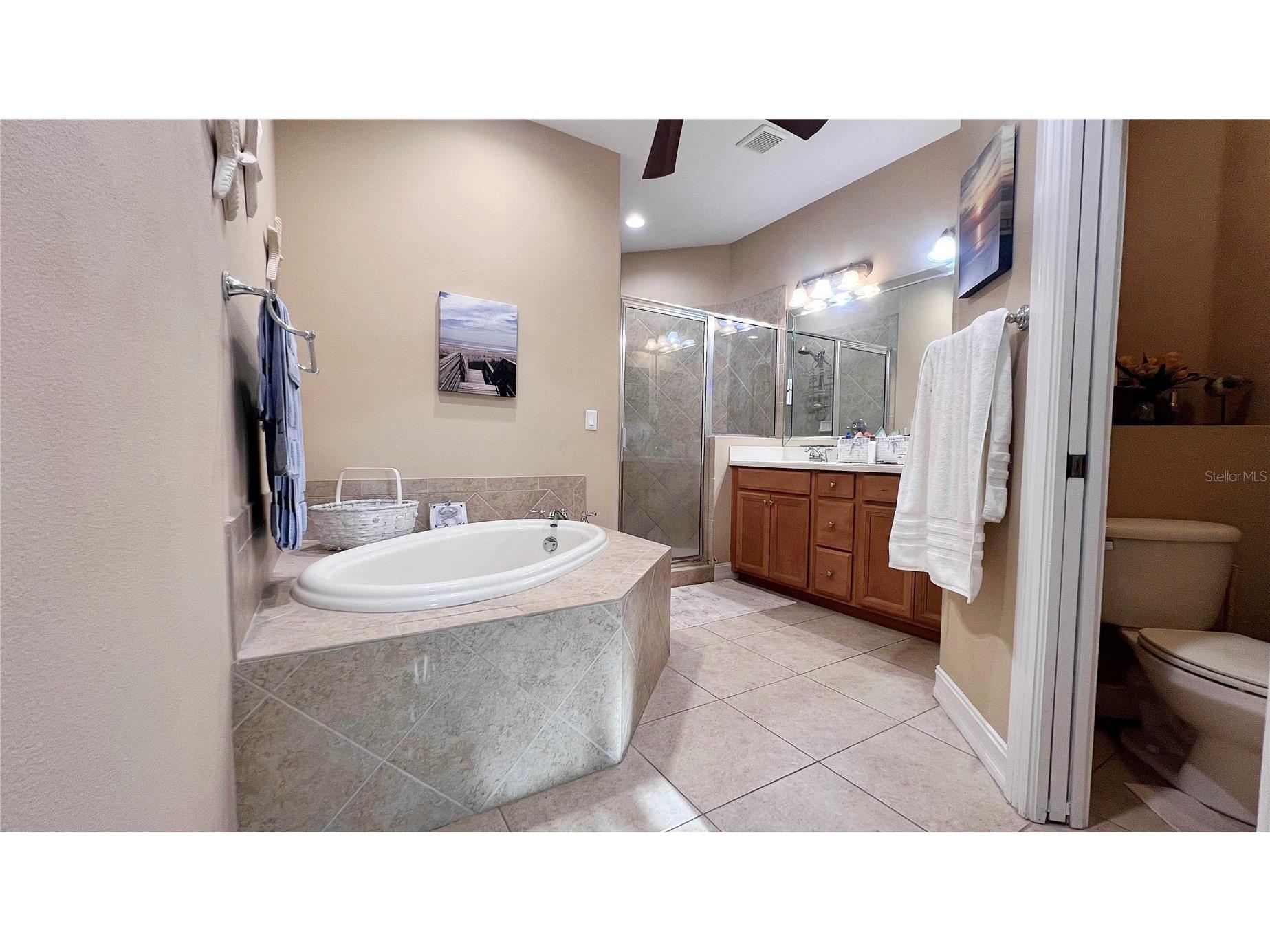 1266 Ribolla Drive Palm Harbor FL 34683 TB8497284 image19