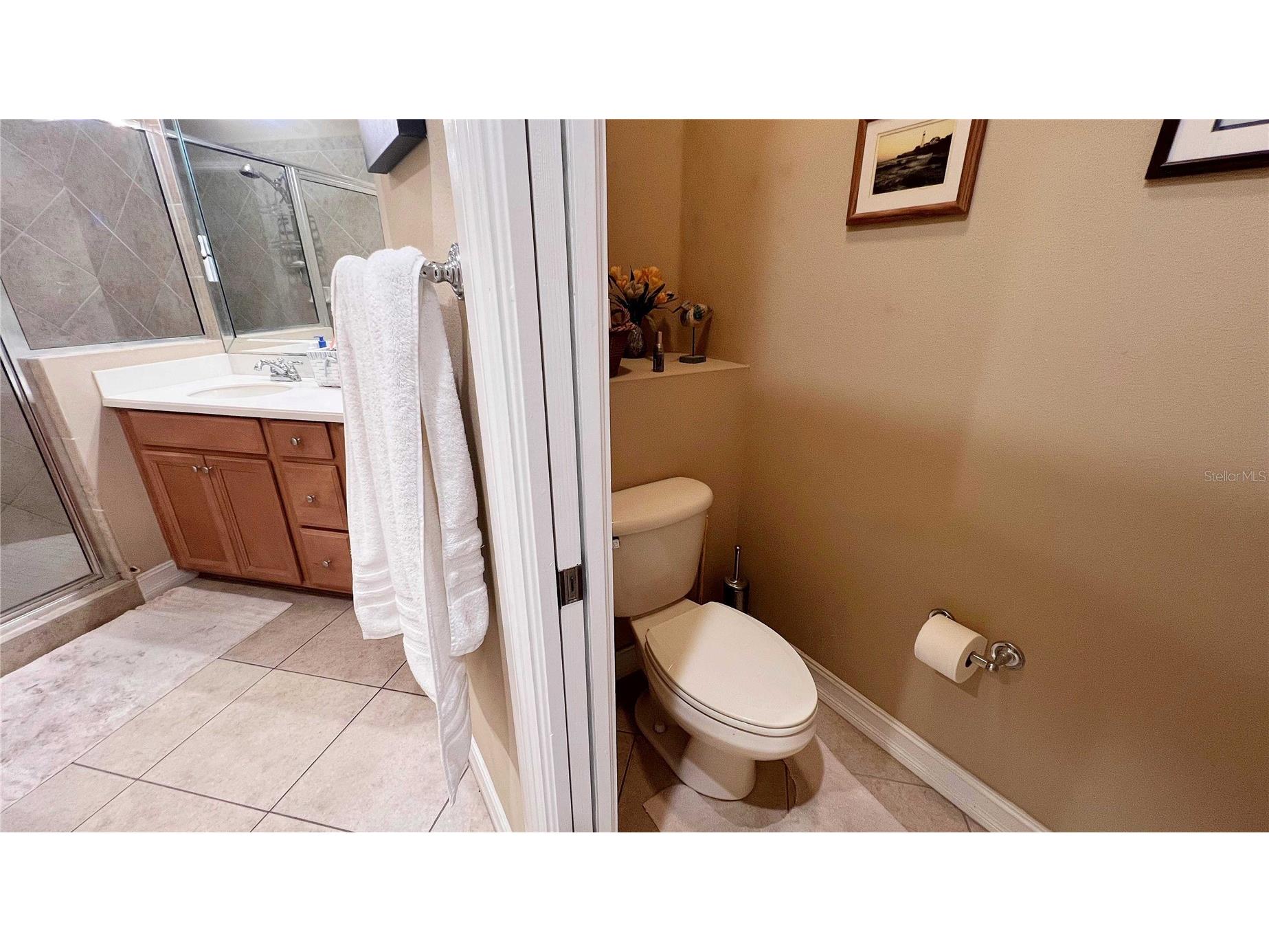 1266 Ribolla Drive Palm Harbor FL 34683 TB8497284 image20