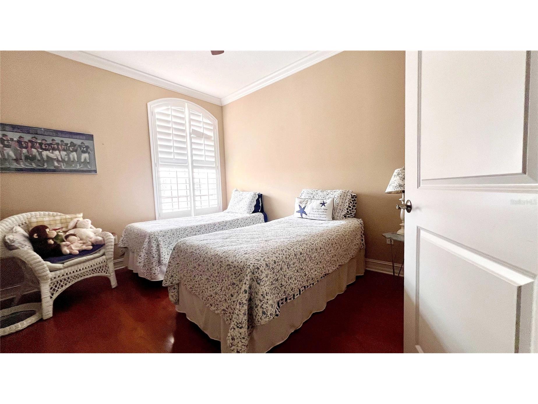 1266 Ribolla Drive Palm Harbor FL 34683 TB8497284 image23