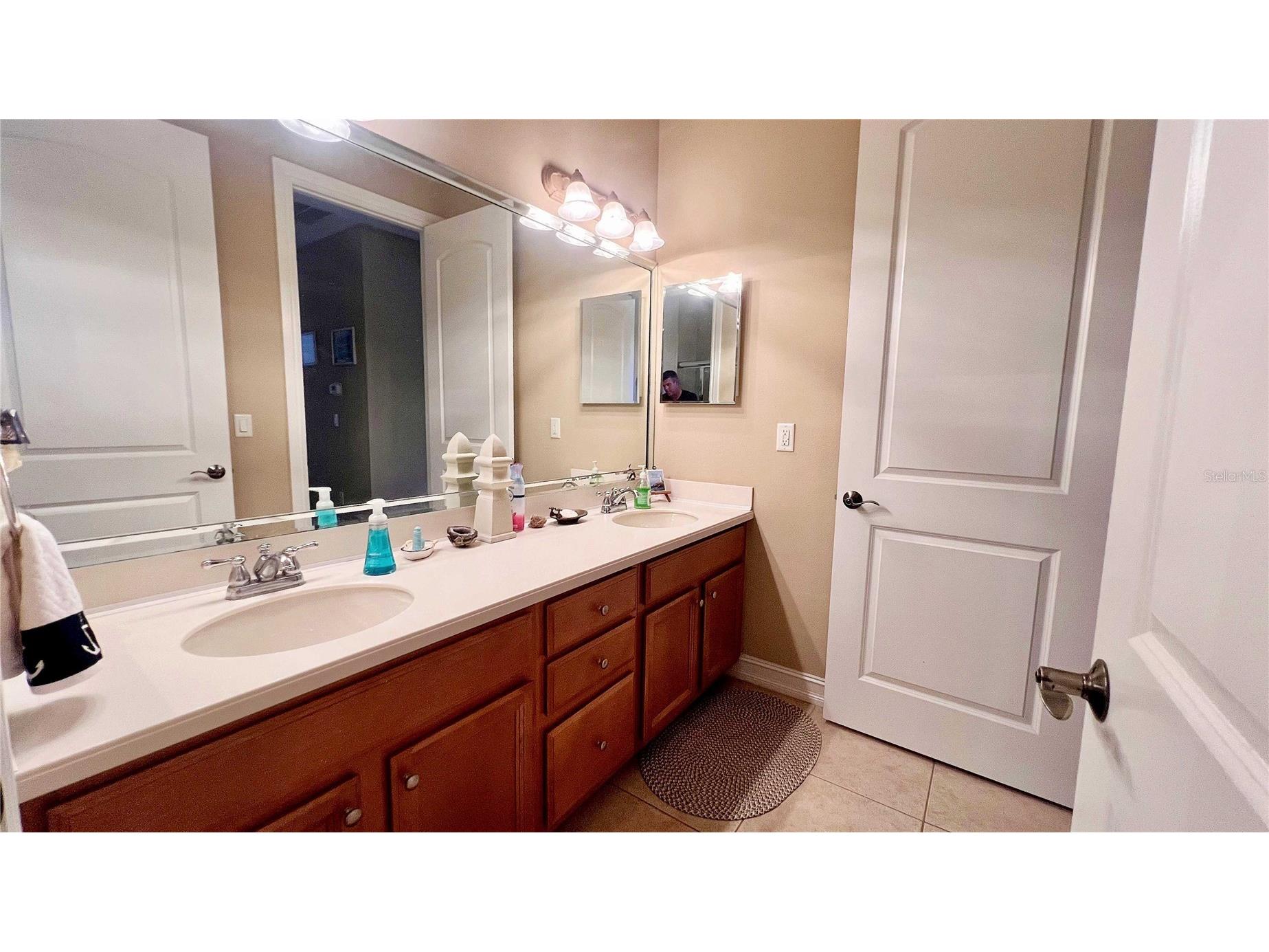 1266 Ribolla Drive Palm Harbor FL 34683 TB8497284 image26