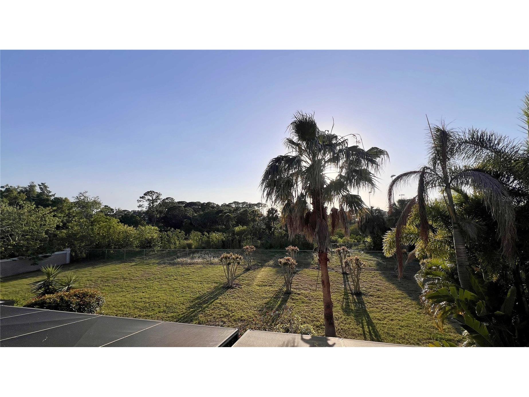 1266 Ribolla Drive Palm Harbor FL 34683 TB8497284 image30