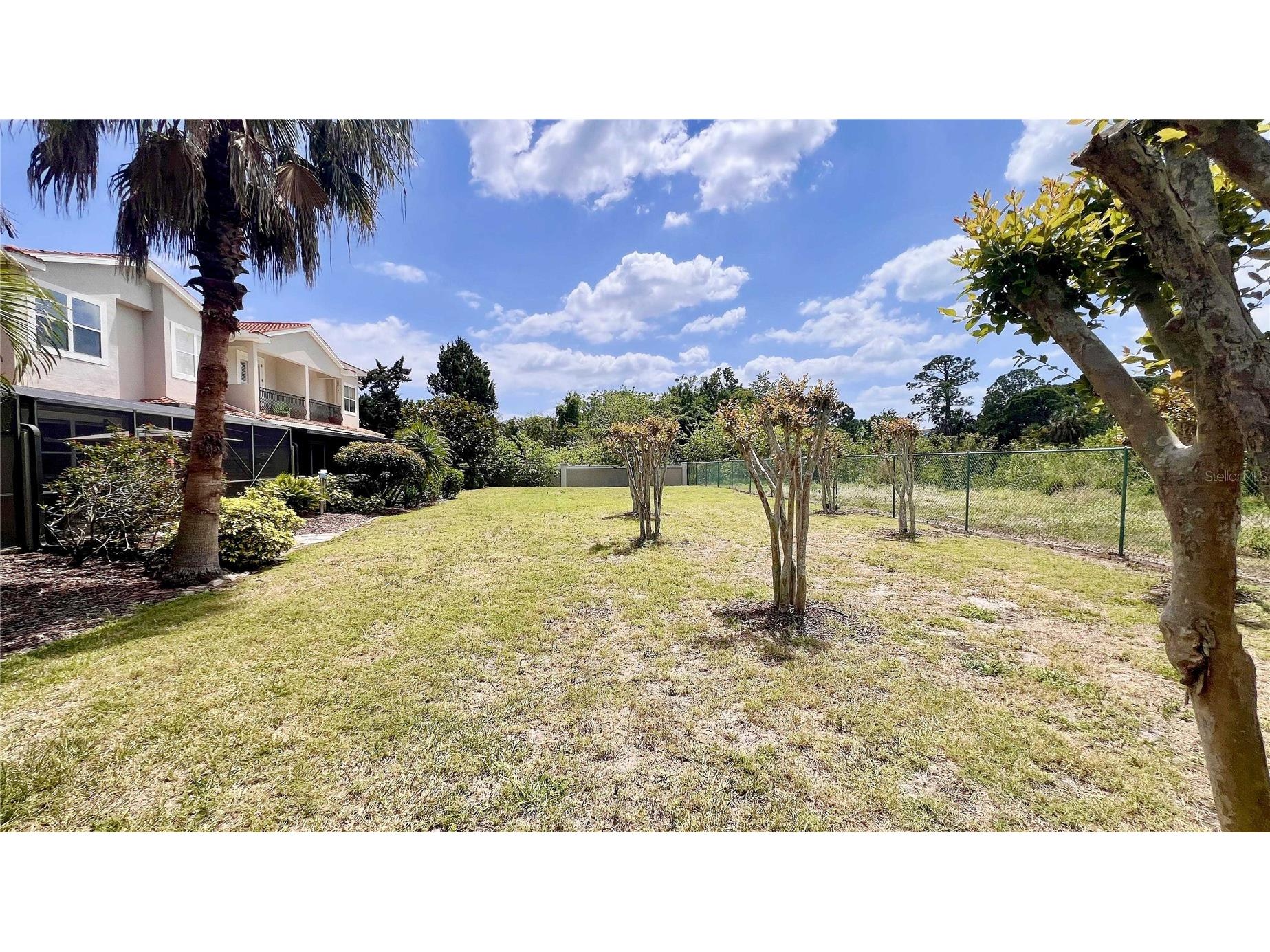 1266 Ribolla Drive Palm Harbor FL 34683 TB8497284 image33