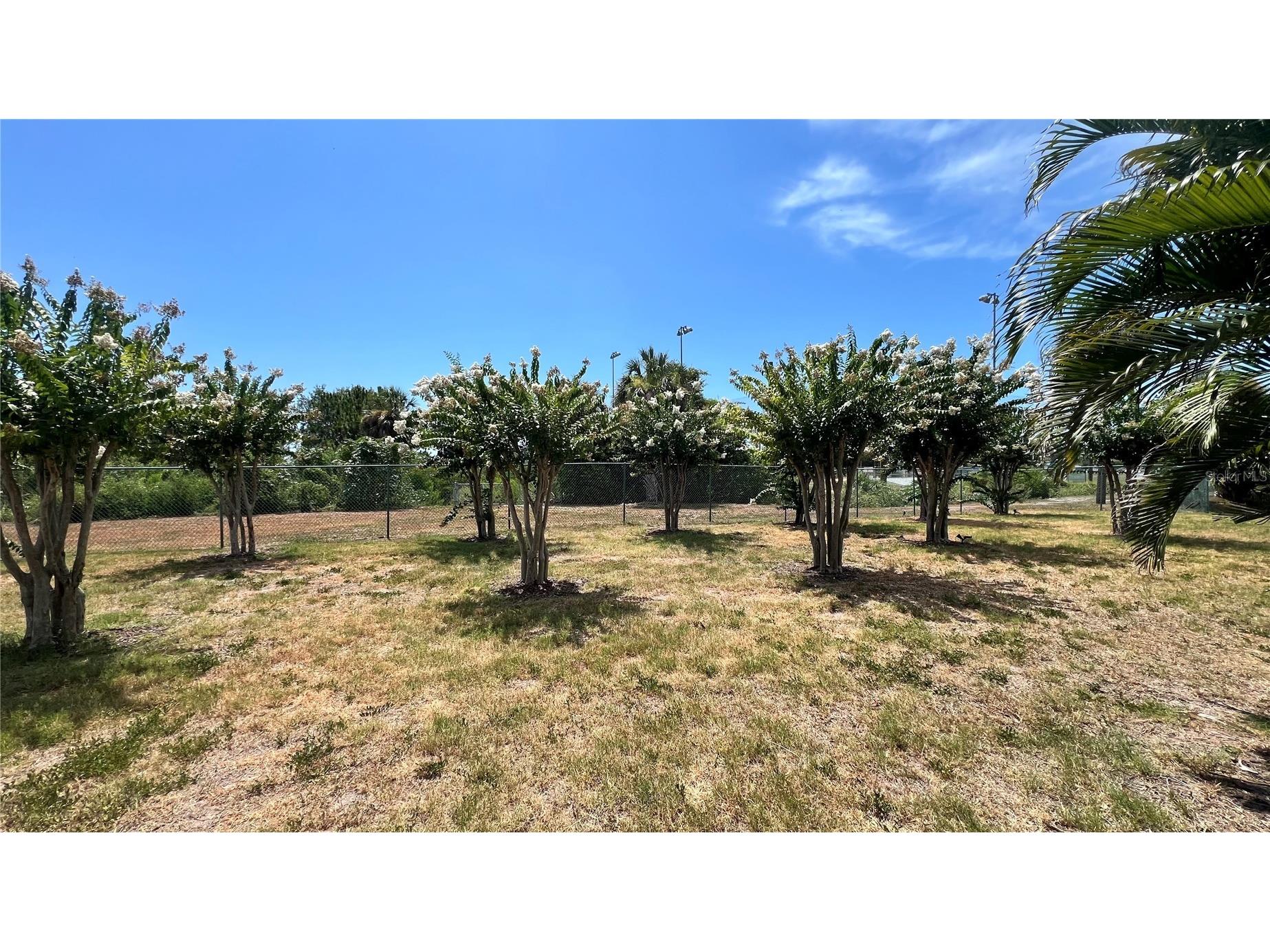 1266 Ribolla Drive Palm Harbor FL 34683 TB8497284 image40