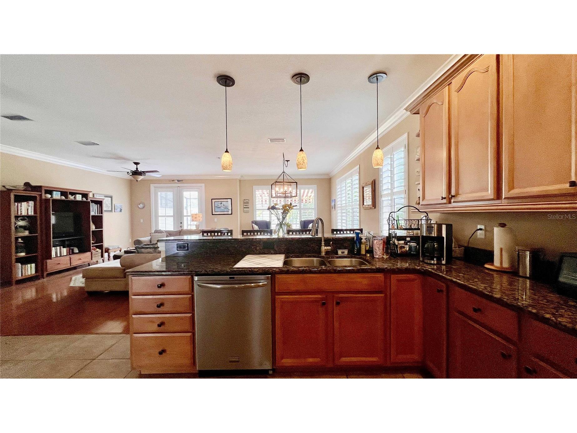 1266 Ribolla Drive Palm Harbor FL 34683 TB8497284 image7