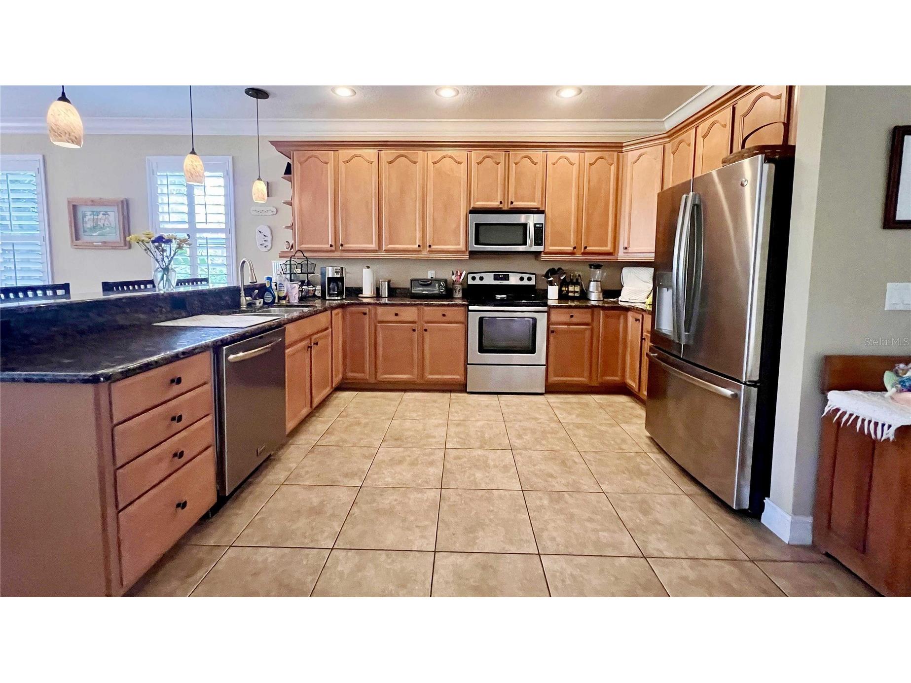 1266 Ribolla Drive Palm Harbor FL 34683 TB8497284 image8