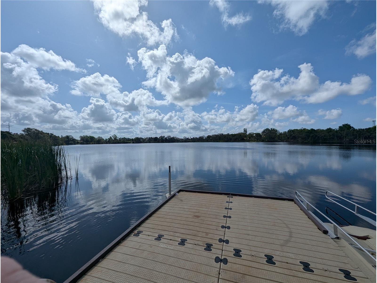 12660 118th Street Largo FL 33778 TB8471990 image30