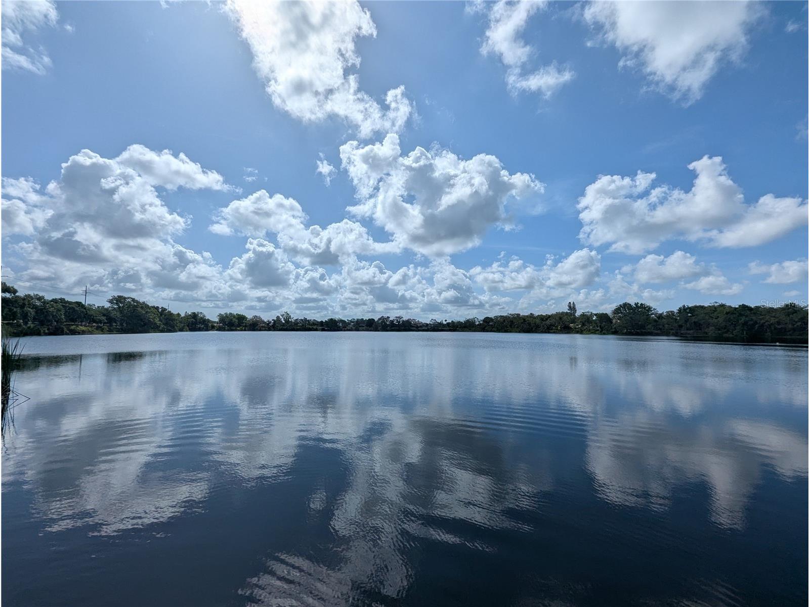 12660 118th Street Largo FL 33778 TB8471990 image31