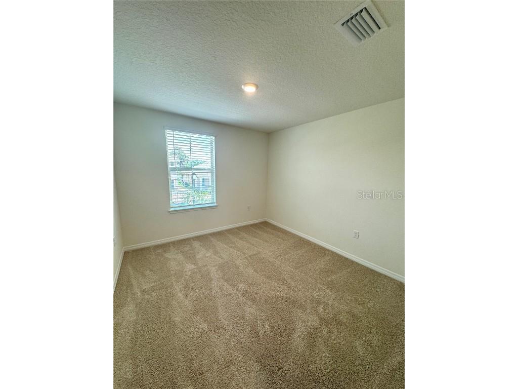 12664 Charmed Drive Winter Garden FL 34787 O6358668 image10