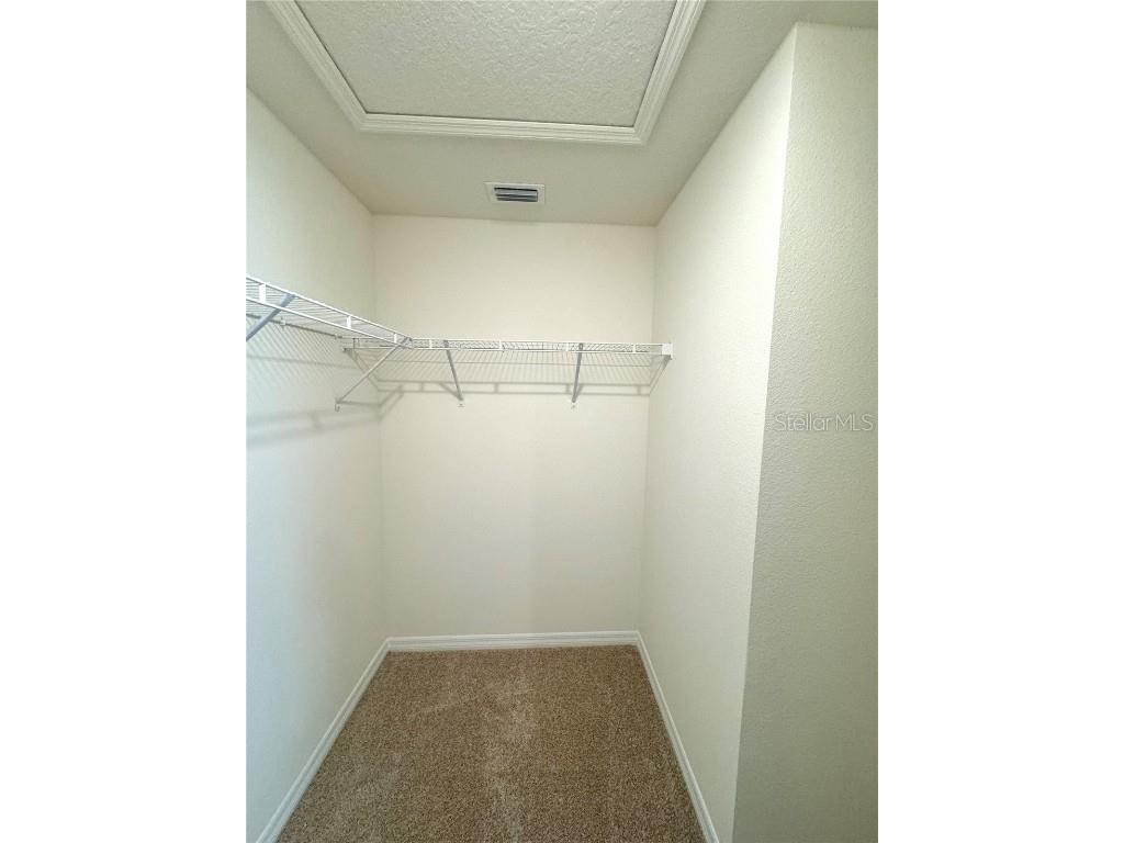 12664 Charmed Drive Winter Garden FL 34787 O6358668 image14