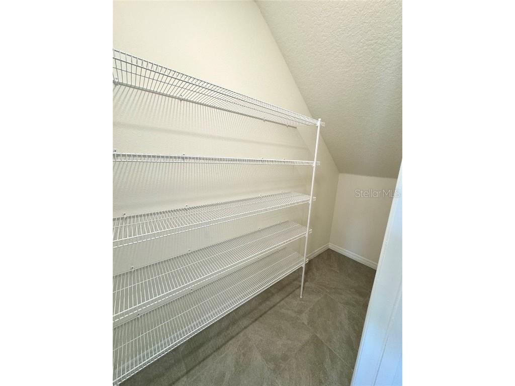 12664 Charmed Drive Winter Garden FL 34787 O6358668 image22