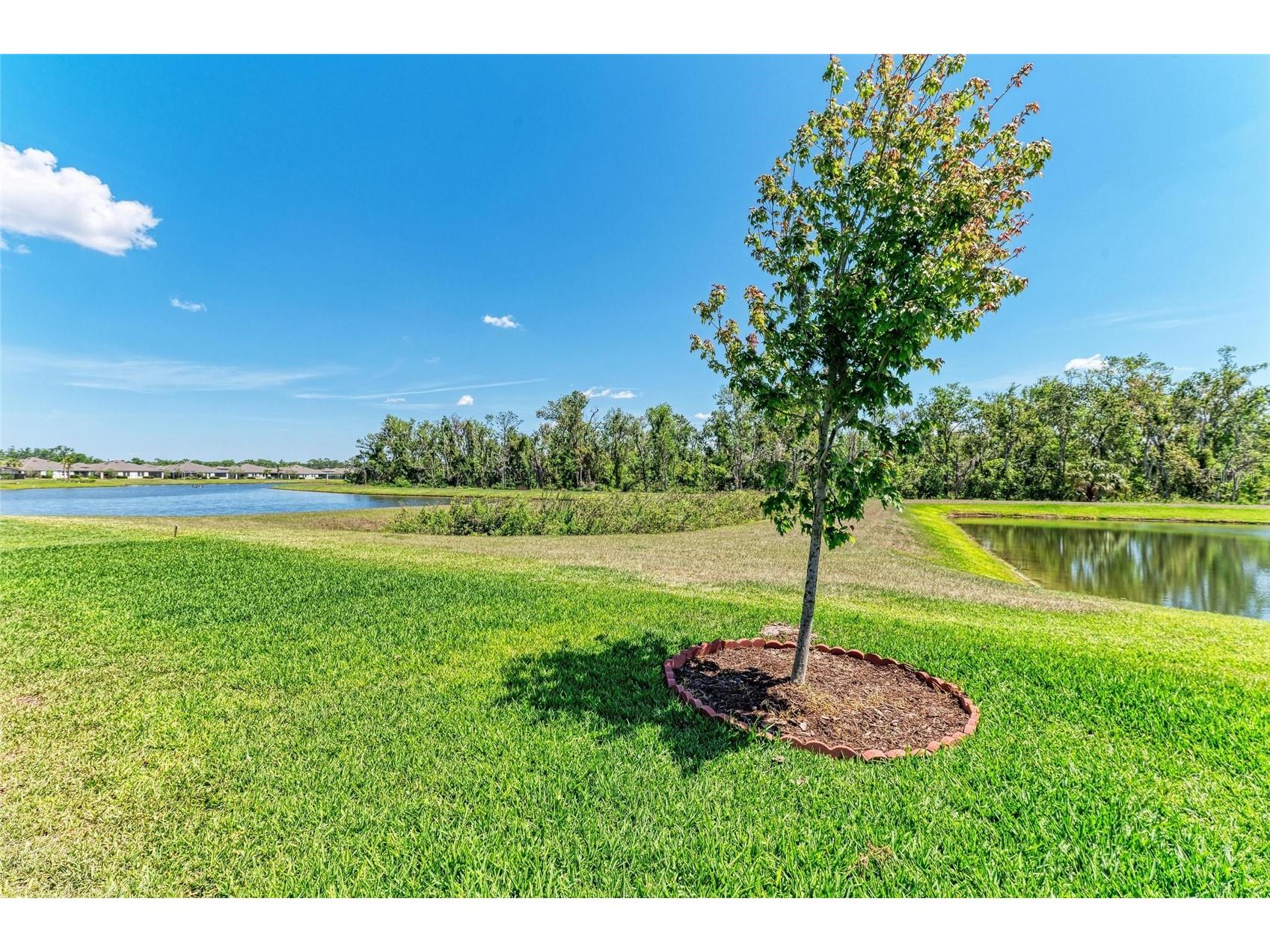 12664 Oak Hill Way Parrish FL 34219 A4682887 image66