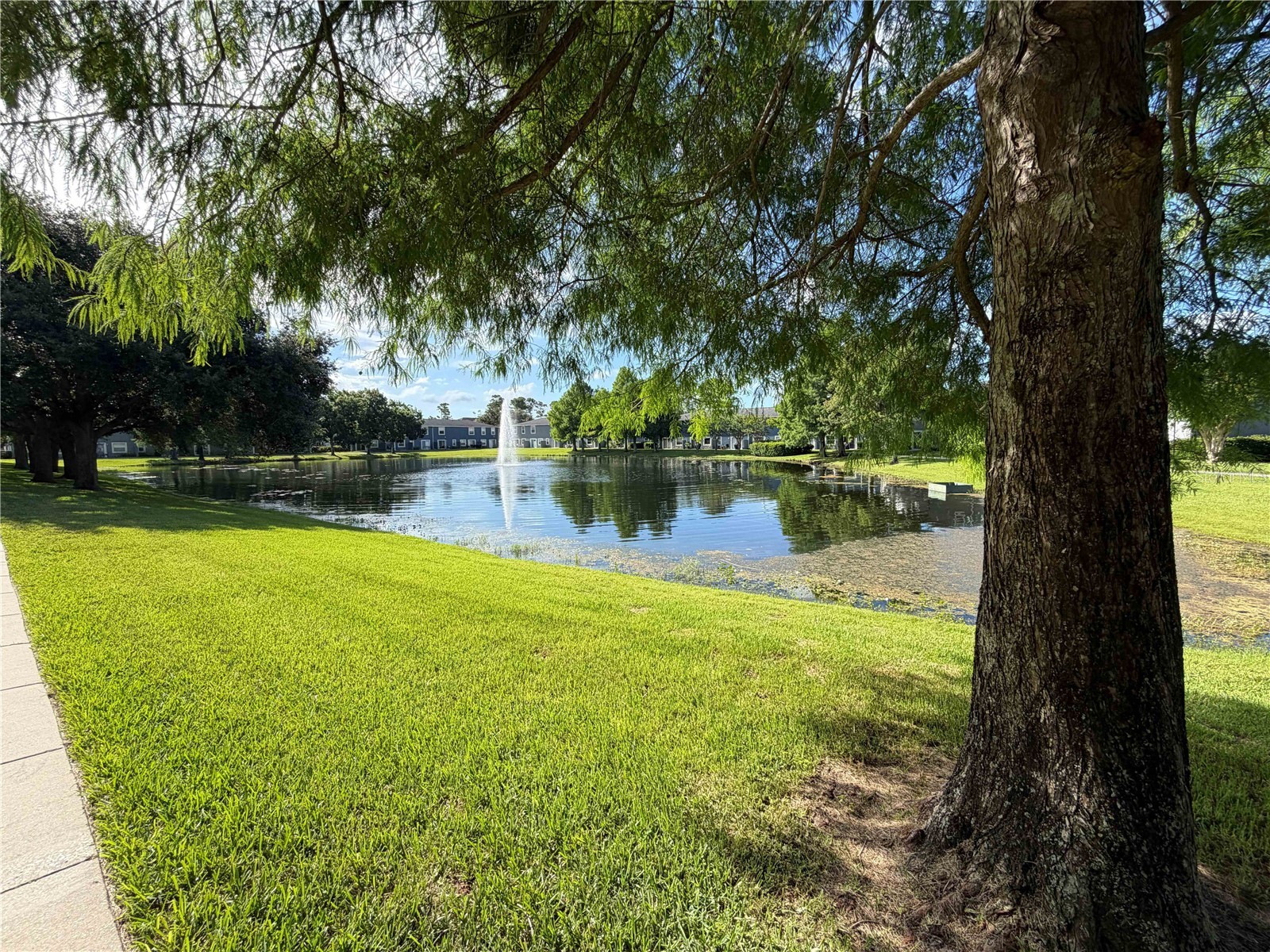 12664 Somerset Oaks Street Orlando FL 32828 O6414357 image25