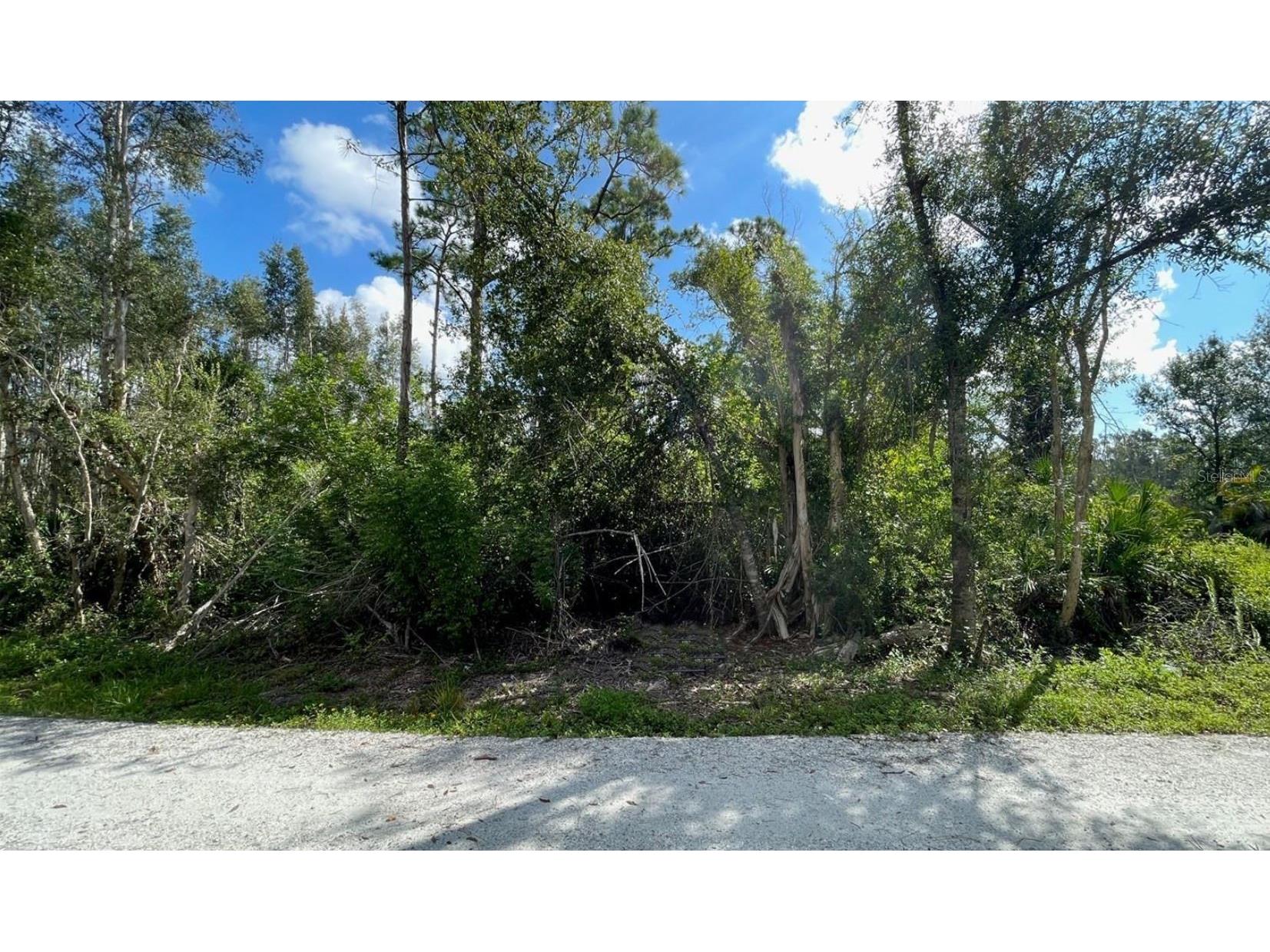 12665 Easha Boulevard Punta Gorda FL 33955 TB8474119 image1