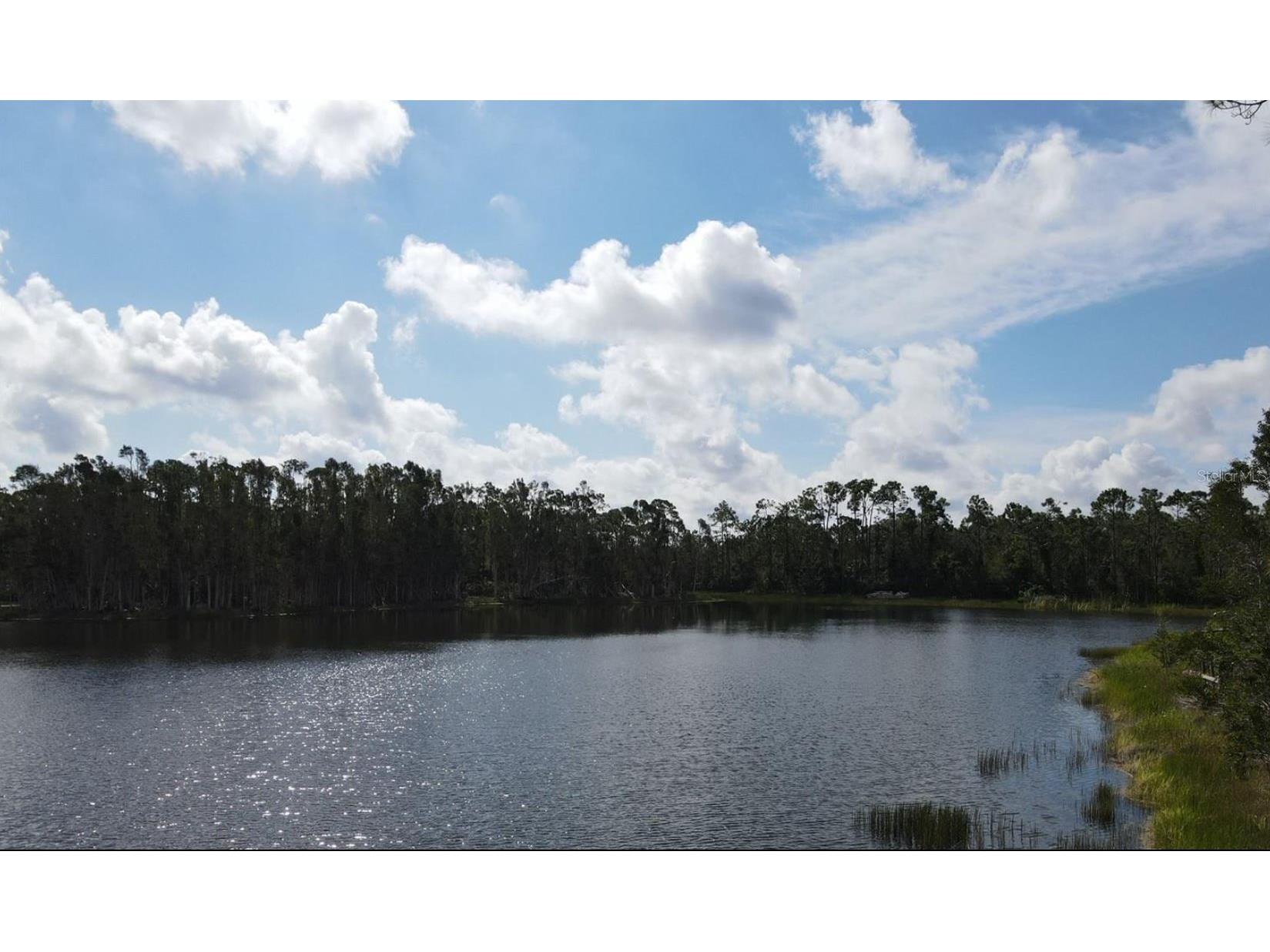 12665 Easha Boulevard Punta Gorda FL 33955 TB8474119 image10