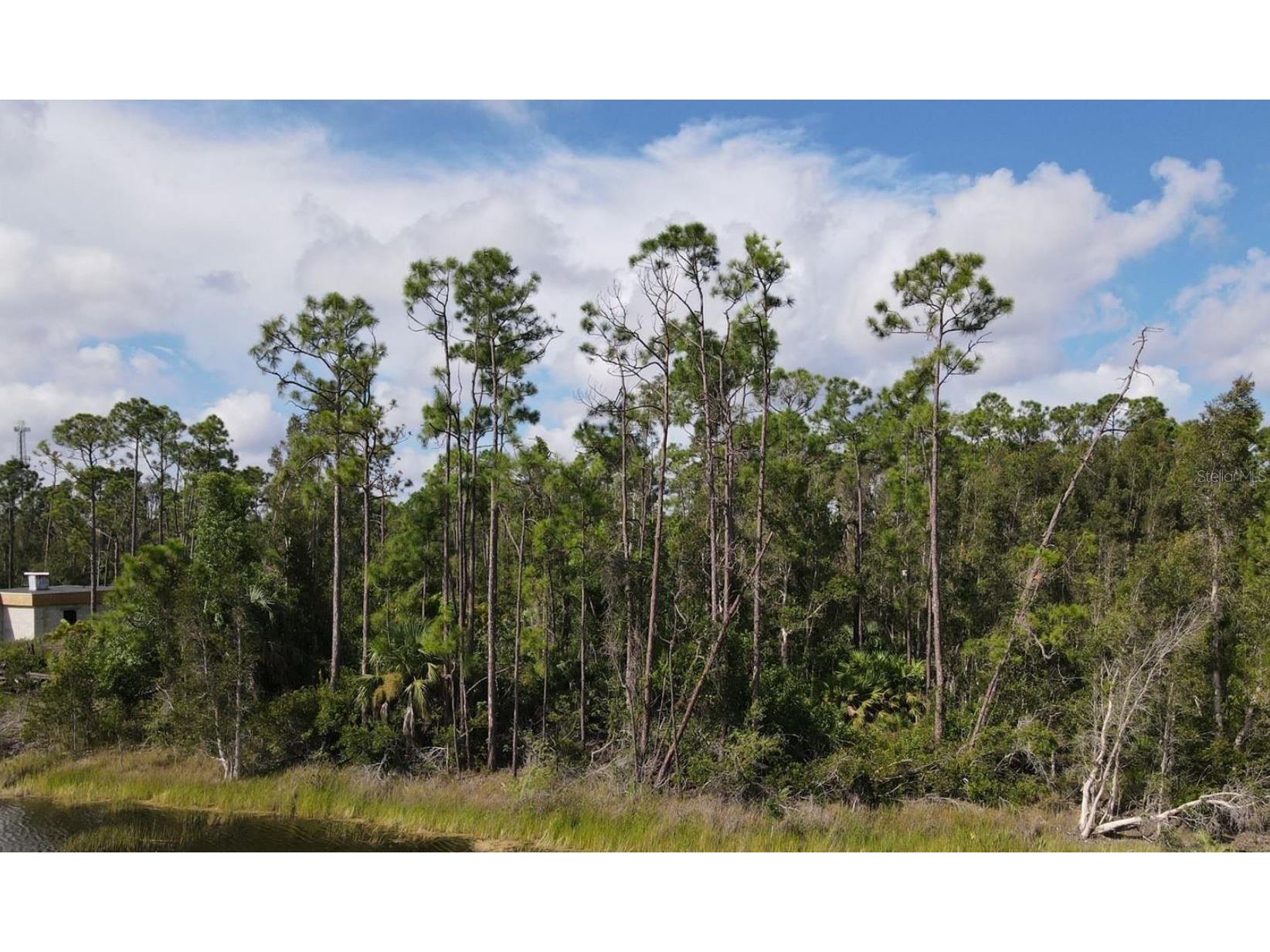 12665 Easha Boulevard Punta Gorda FL 33955 TB8474119 image5