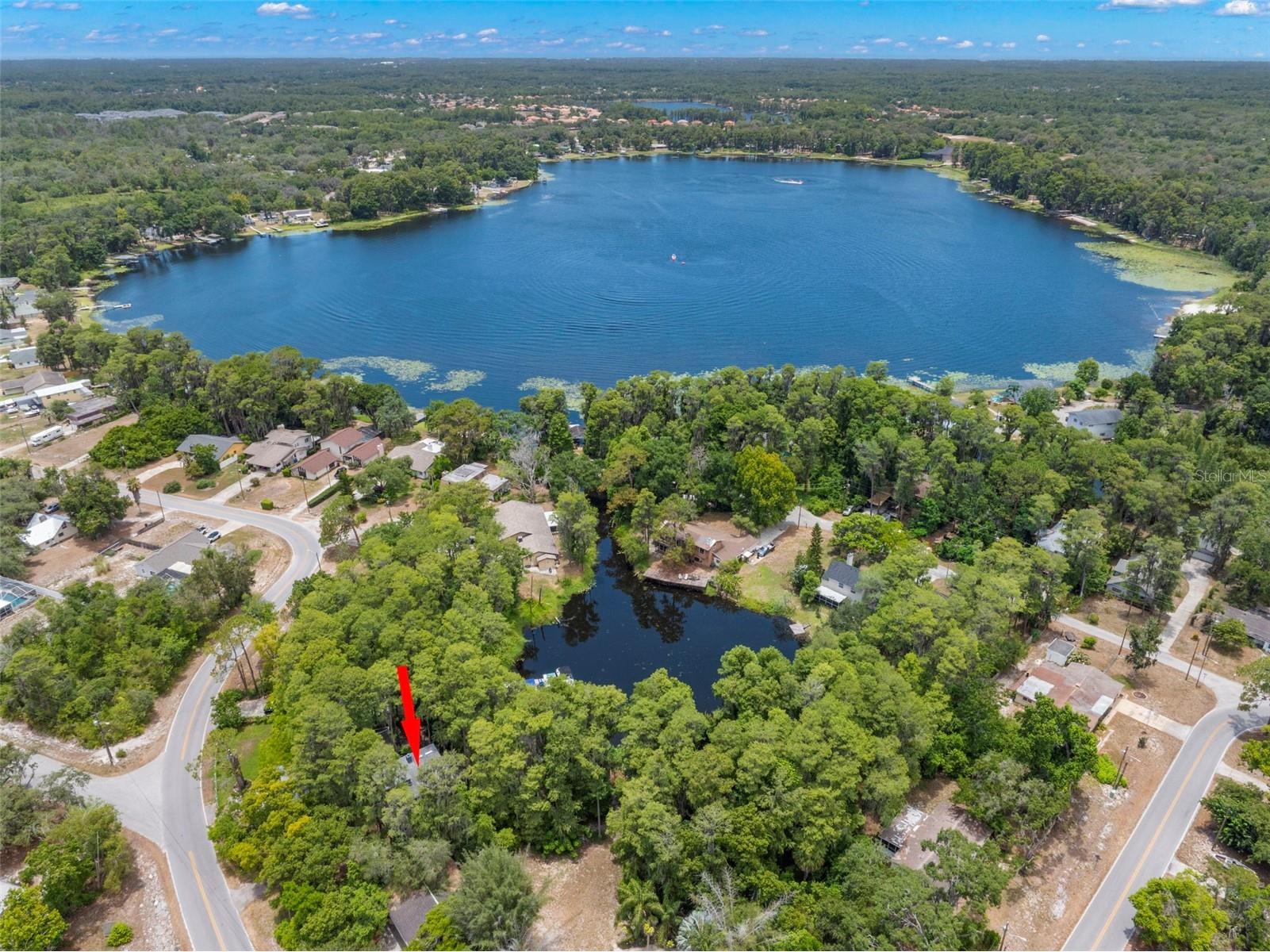 12665 Lacey Drive New Port Richey FL 34654 - Moon Lake TB8522369 image51