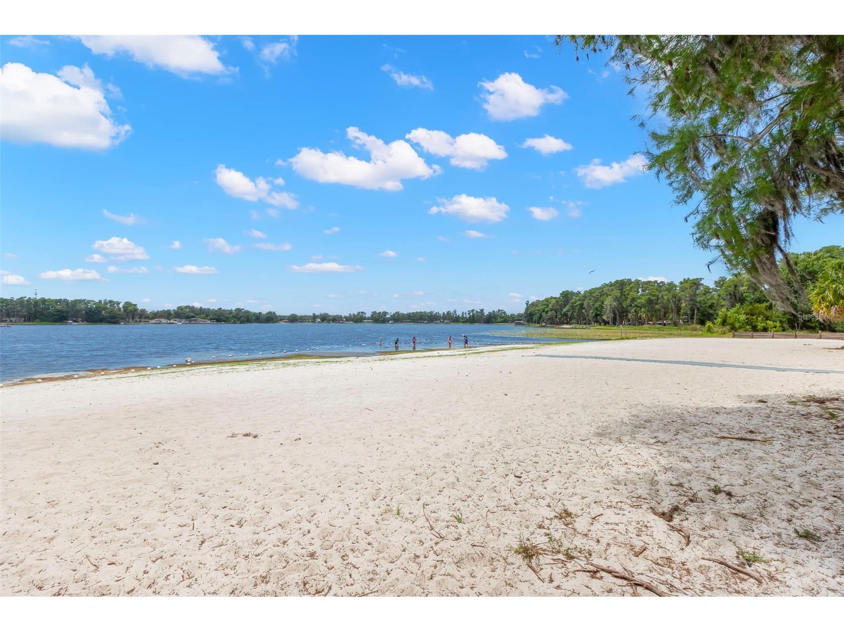 12665 Lacey Drive New Port Richey FL 34654 - Moon Lake TB8522369 image60