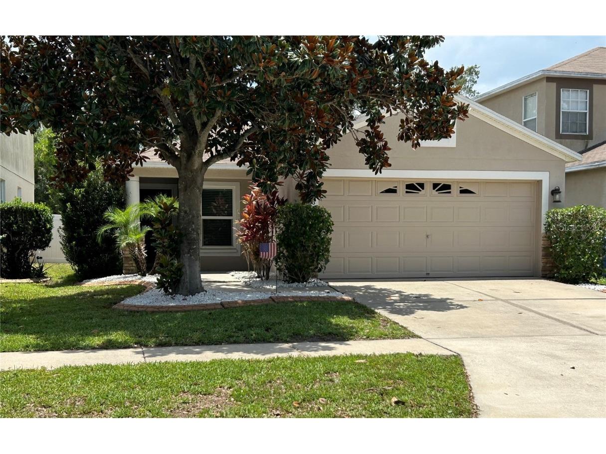 12666 Adventure Drive Riverview FL 33579 T3451319 image1
