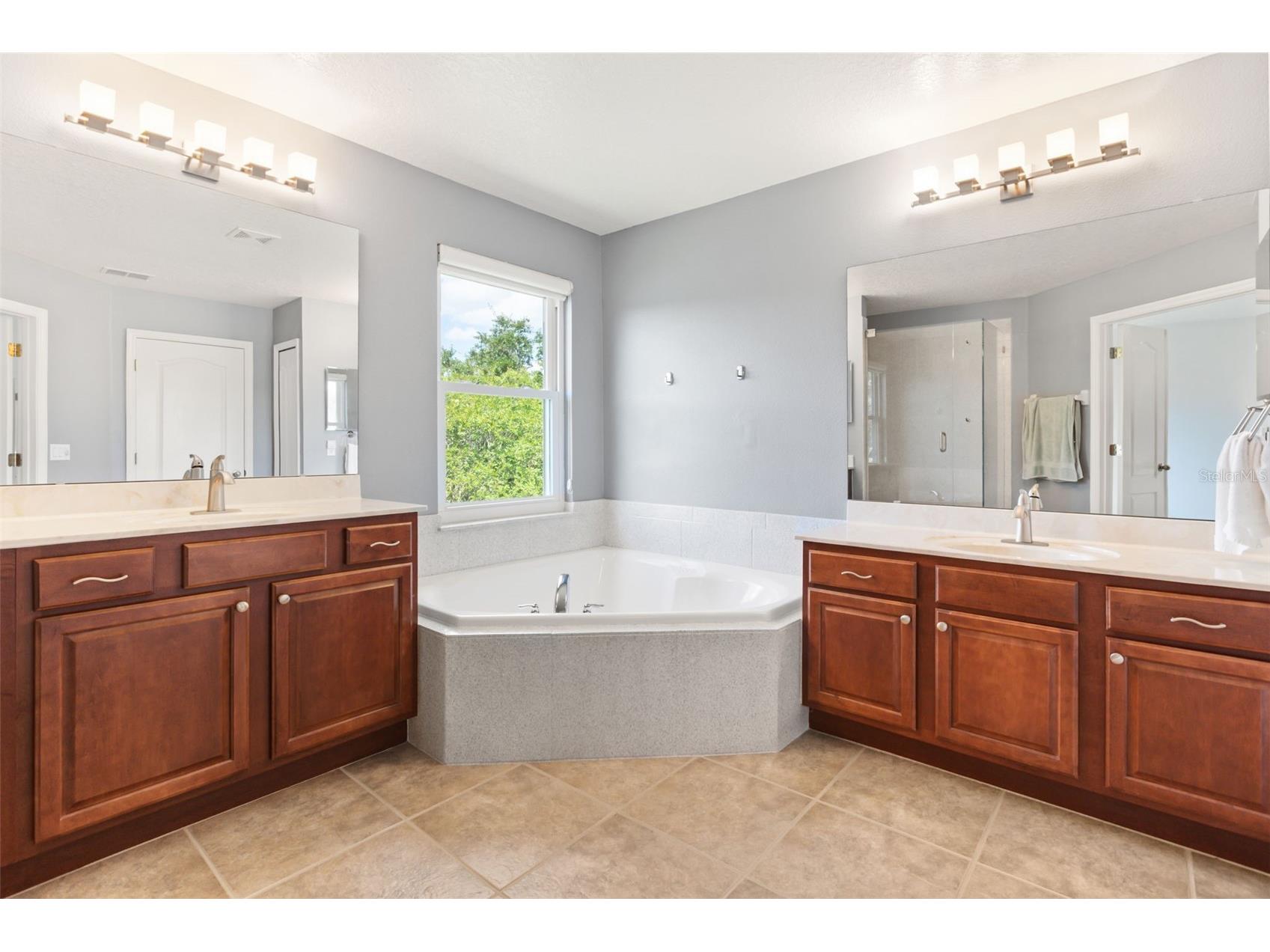 12666 Moss Park Ridge Drive Orlando FL 32832 O6413738 image13