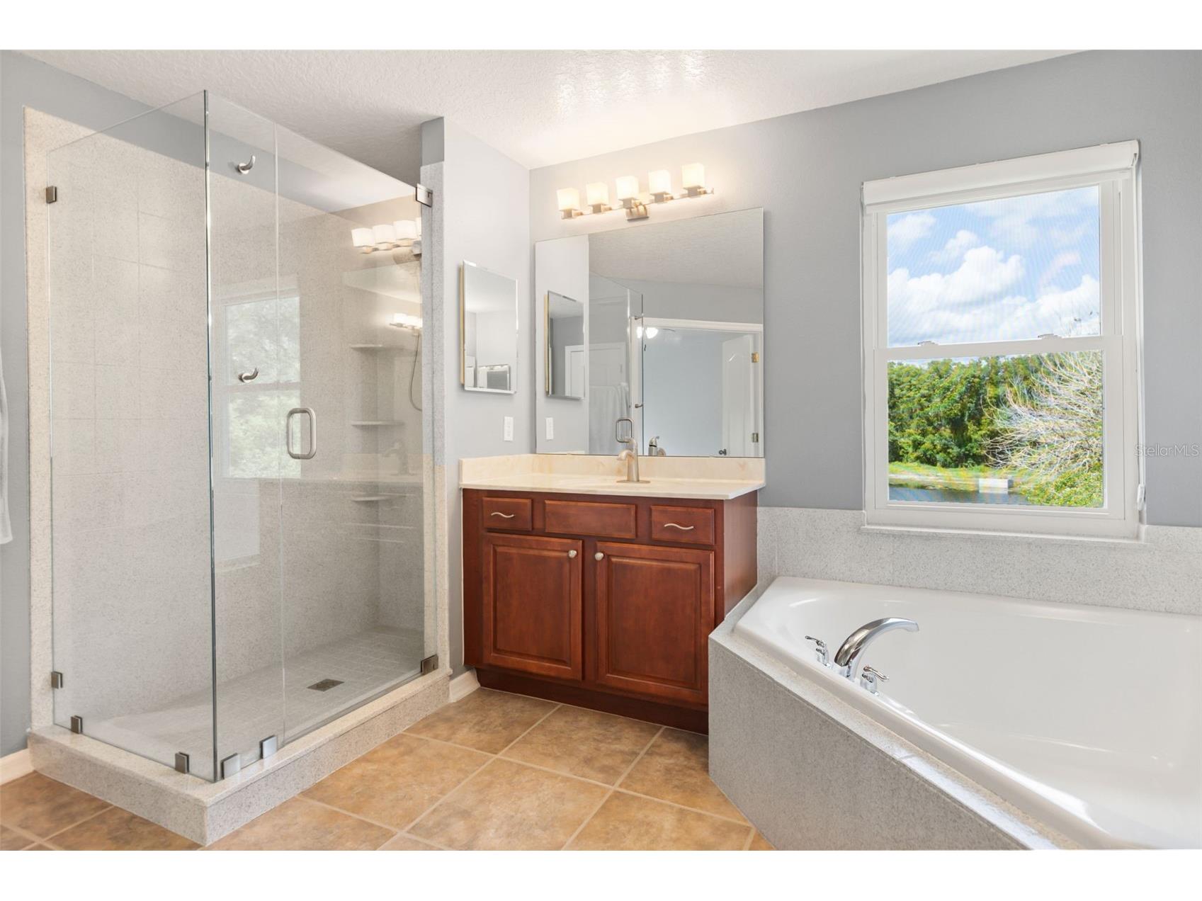 12666 Moss Park Ridge Drive Orlando FL 32832 O6413738 image14