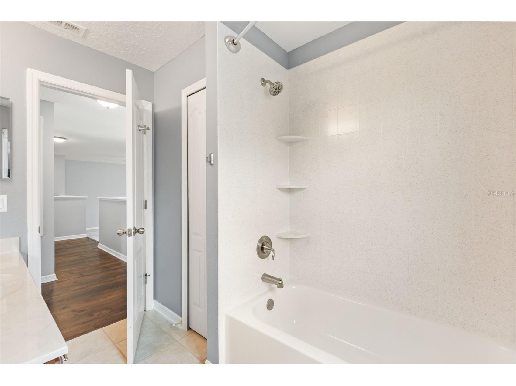 12666 Moss Park Ridge Drive Orlando FL 32832 O6413738 image19