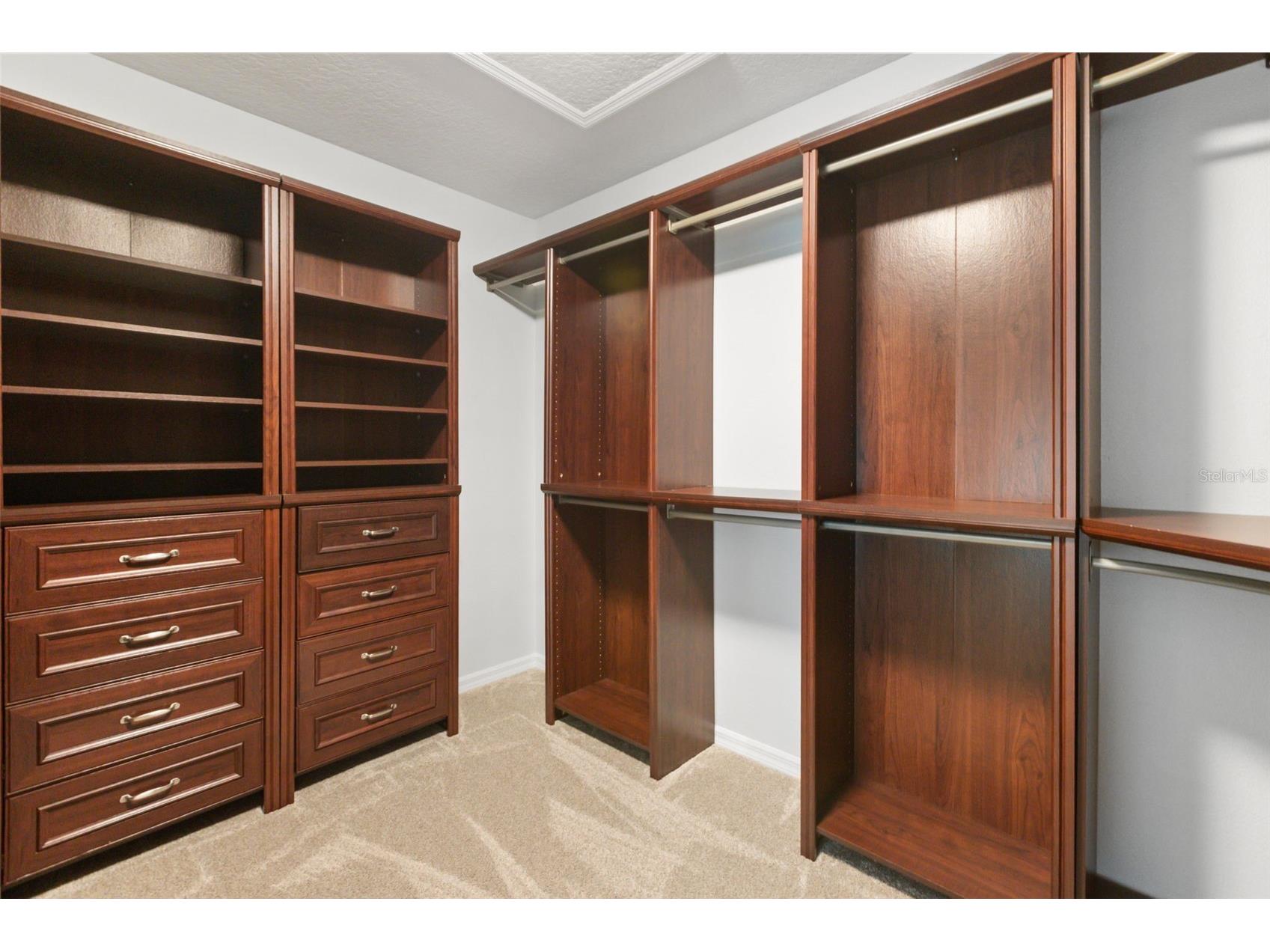12666 Moss Park Ridge Drive Orlando FL 32832 O6413738 image21