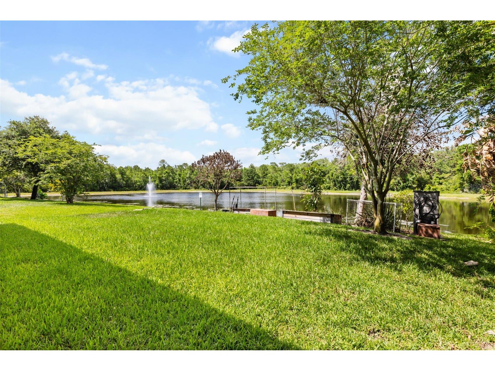 12666 Moss Park Ridge Drive Orlando FL 32832 O6413738 image24