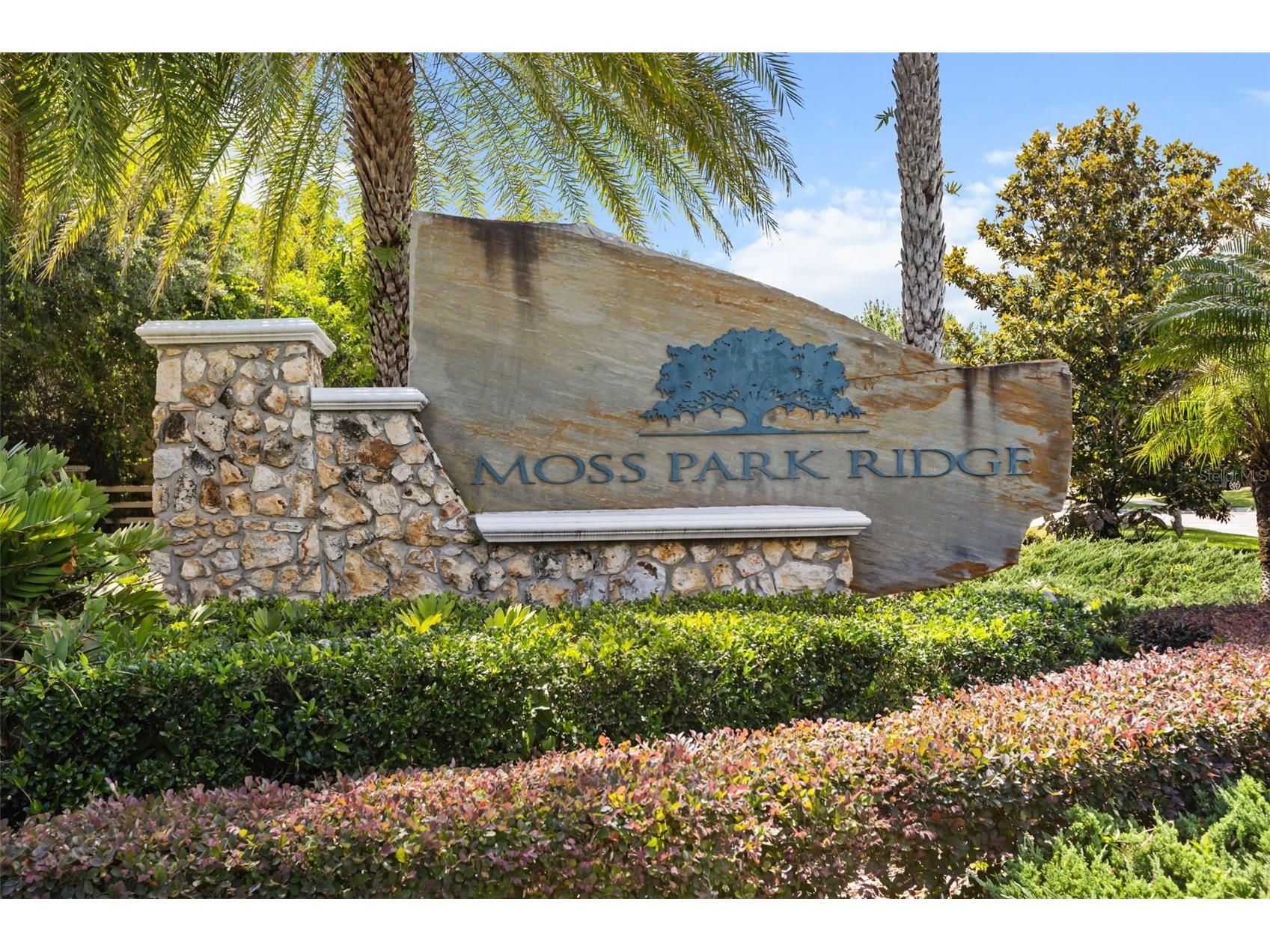 12666 Moss Park Ridge Drive Orlando FL 32832 O6413738 image27