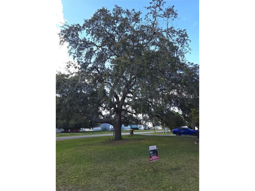 12667 SE 101st Court Belleview FL 34420 OM712385 image3