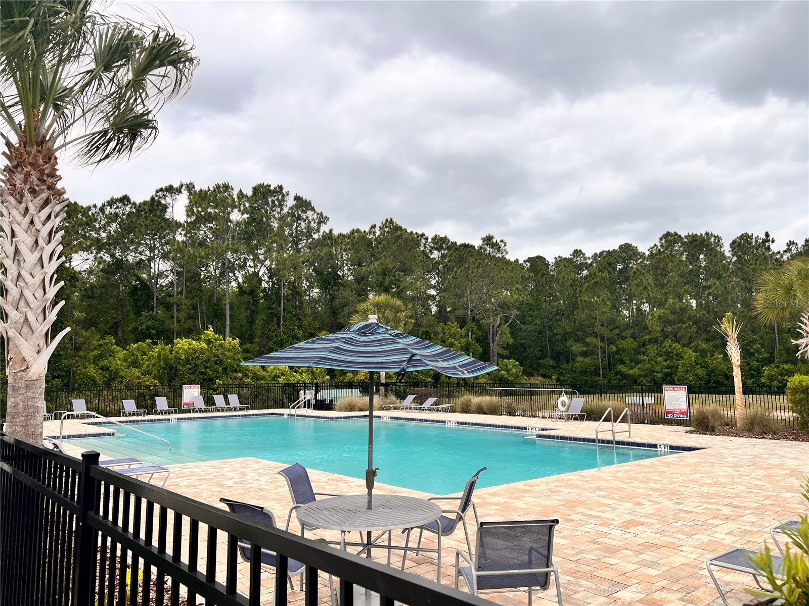 1267 Iguana Loop Davenport FL 33897 O6406726 image55