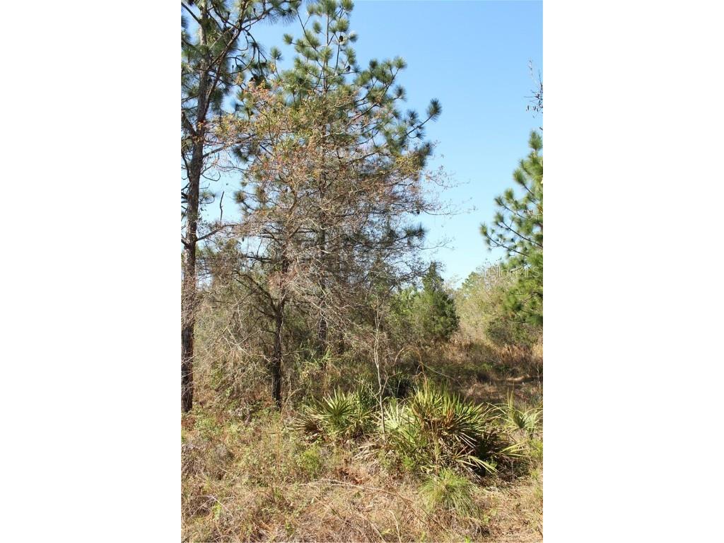 1267 N Jorie Terrace Crystal River FL 34429 W7832087 image11