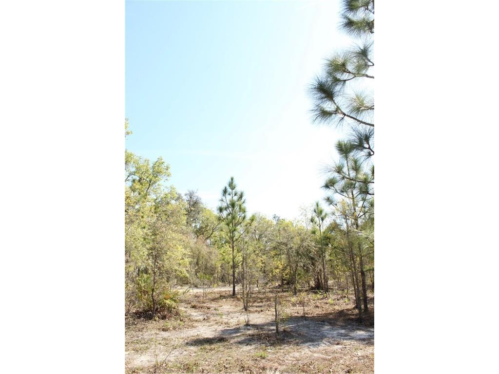 1267 N Jorie Terrace Crystal River FL 34429 W7832087 image12