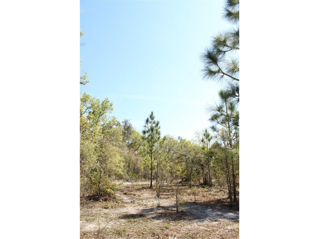 1267 N Jorie Terrace Crystal River FL 34429 W7832087 image13