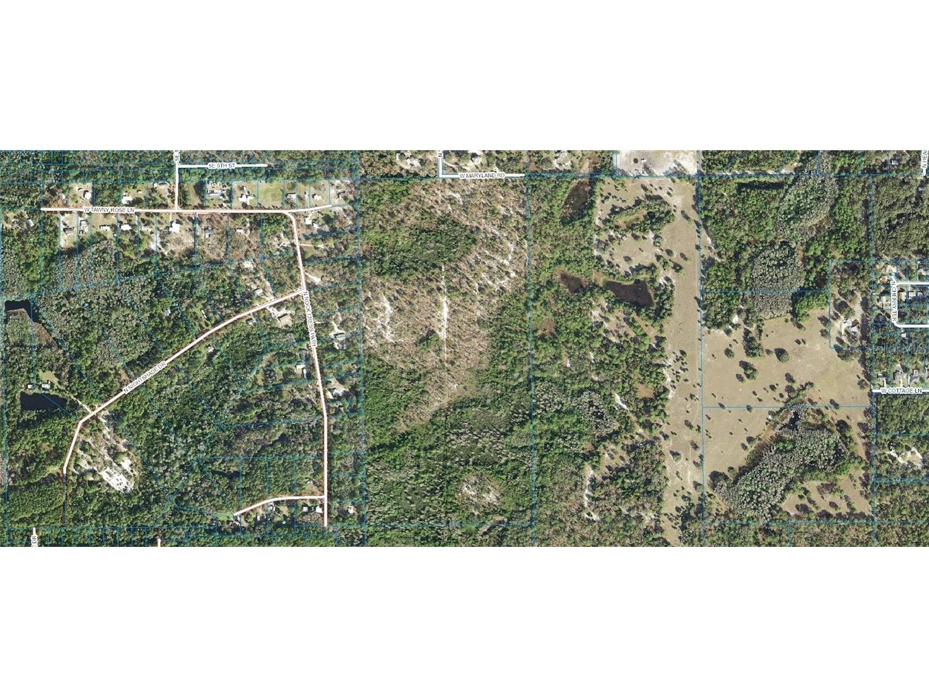 1267 N Jorie Terrace Crystal River FL 34429 W7832087 image2