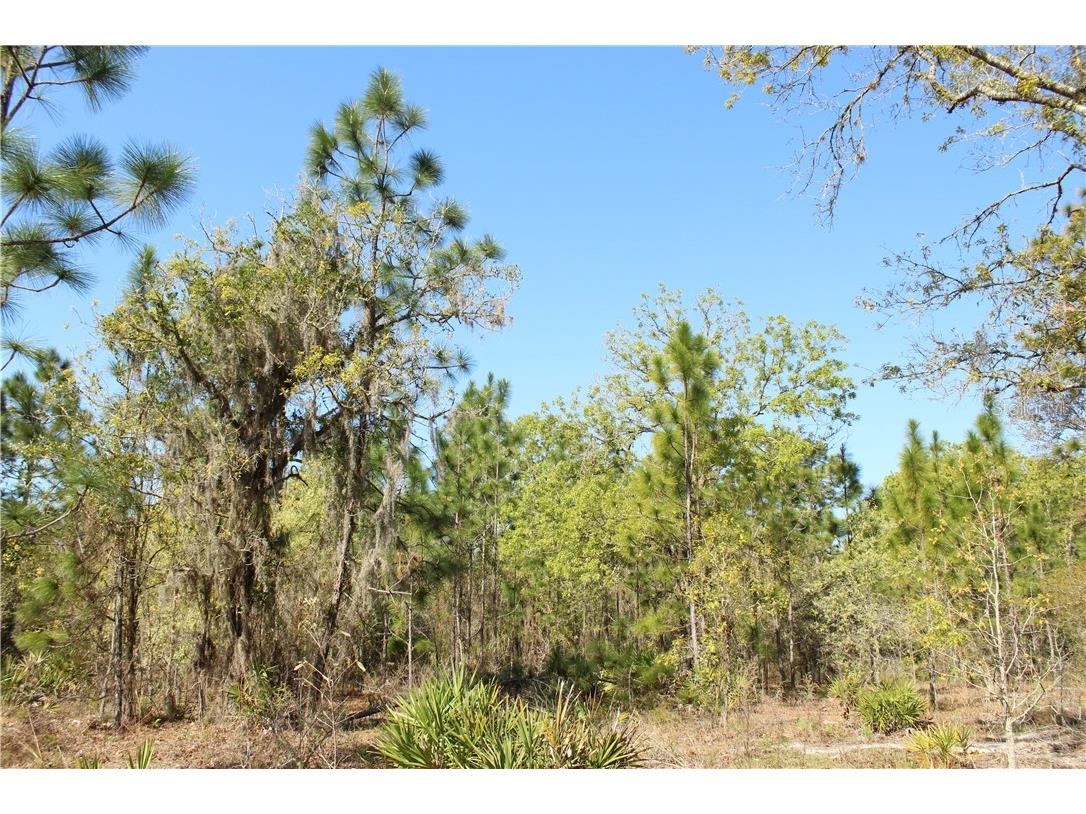 1267 N Jorie Terrace Crystal River FL 34429 W7832087 image5