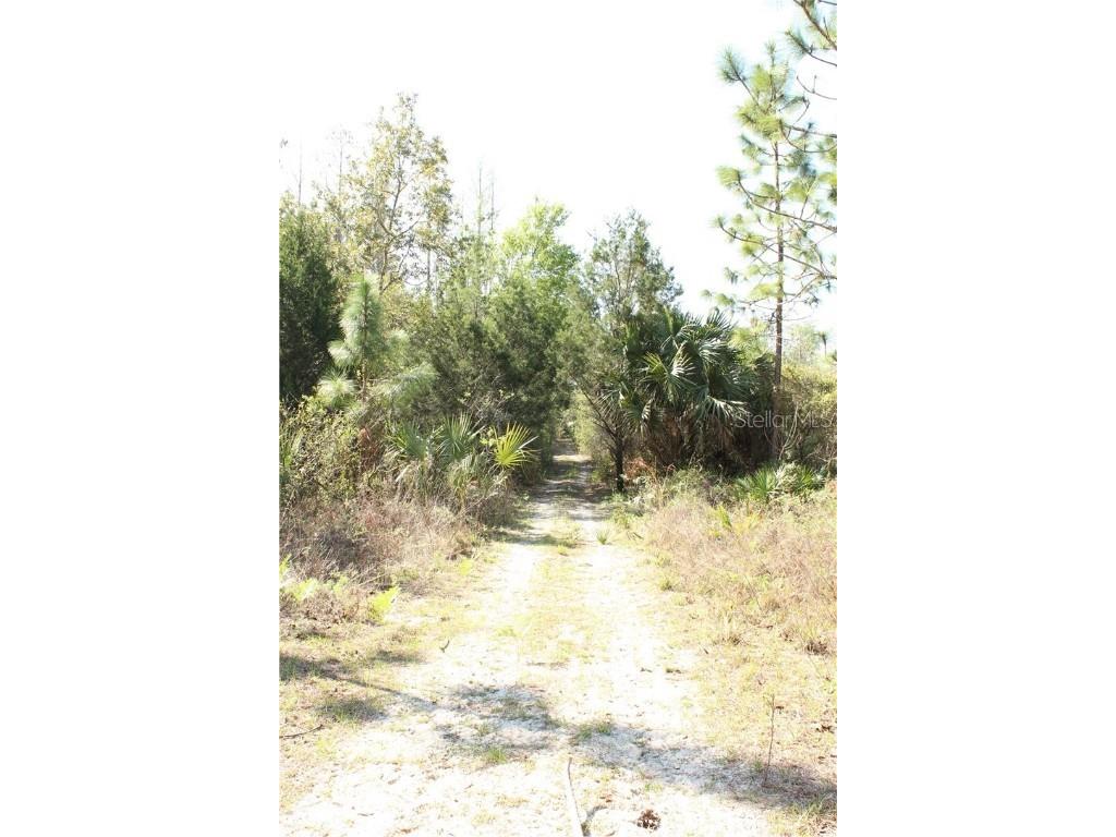 1267 N Jorie Terrace Crystal River FL 34429 W7832087 image6