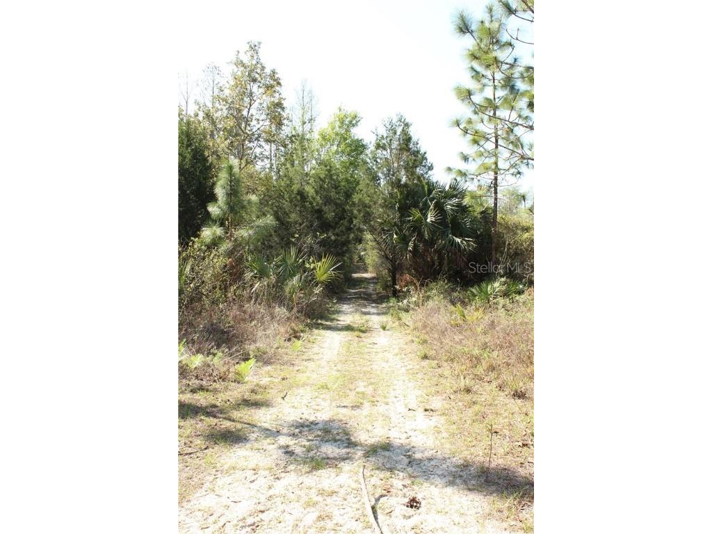 1267 N Jorie Terrace Crystal River FL 34429 W7832087 image7