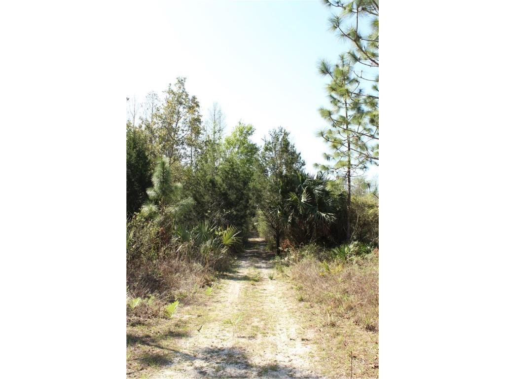 1267 N Jorie Terrace Crystal River FL 34429 W7832087 image8