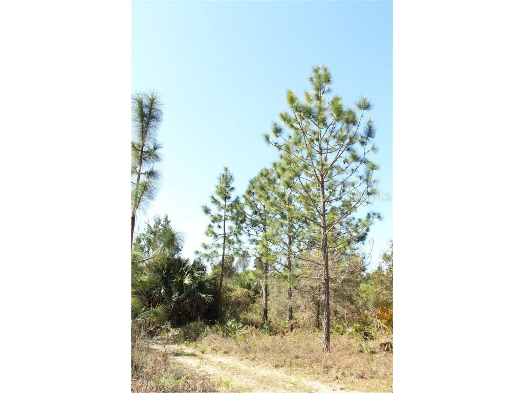 1267 N Jorie Terrace Crystal River FL 34429 W7832087 image9