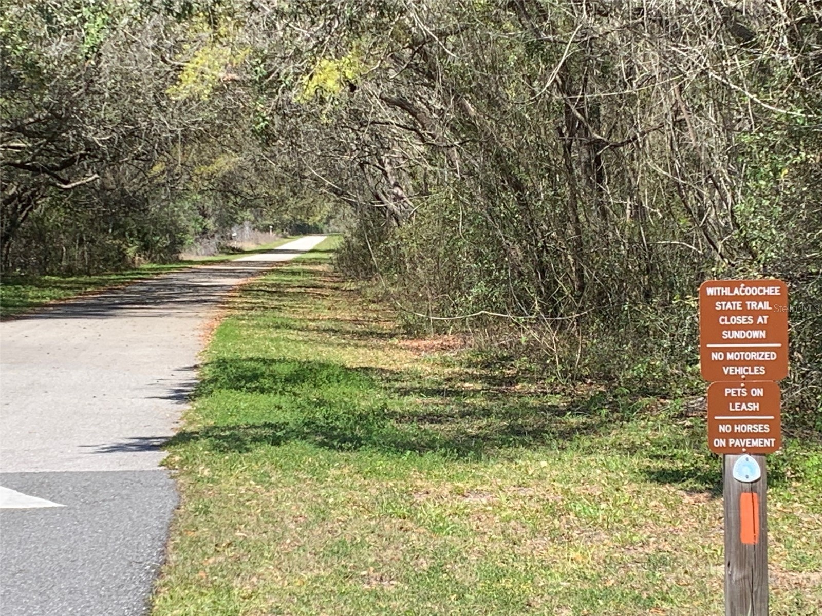 1267 W Nankeen Drive Dunnellon FL 34434 OM724471 image7