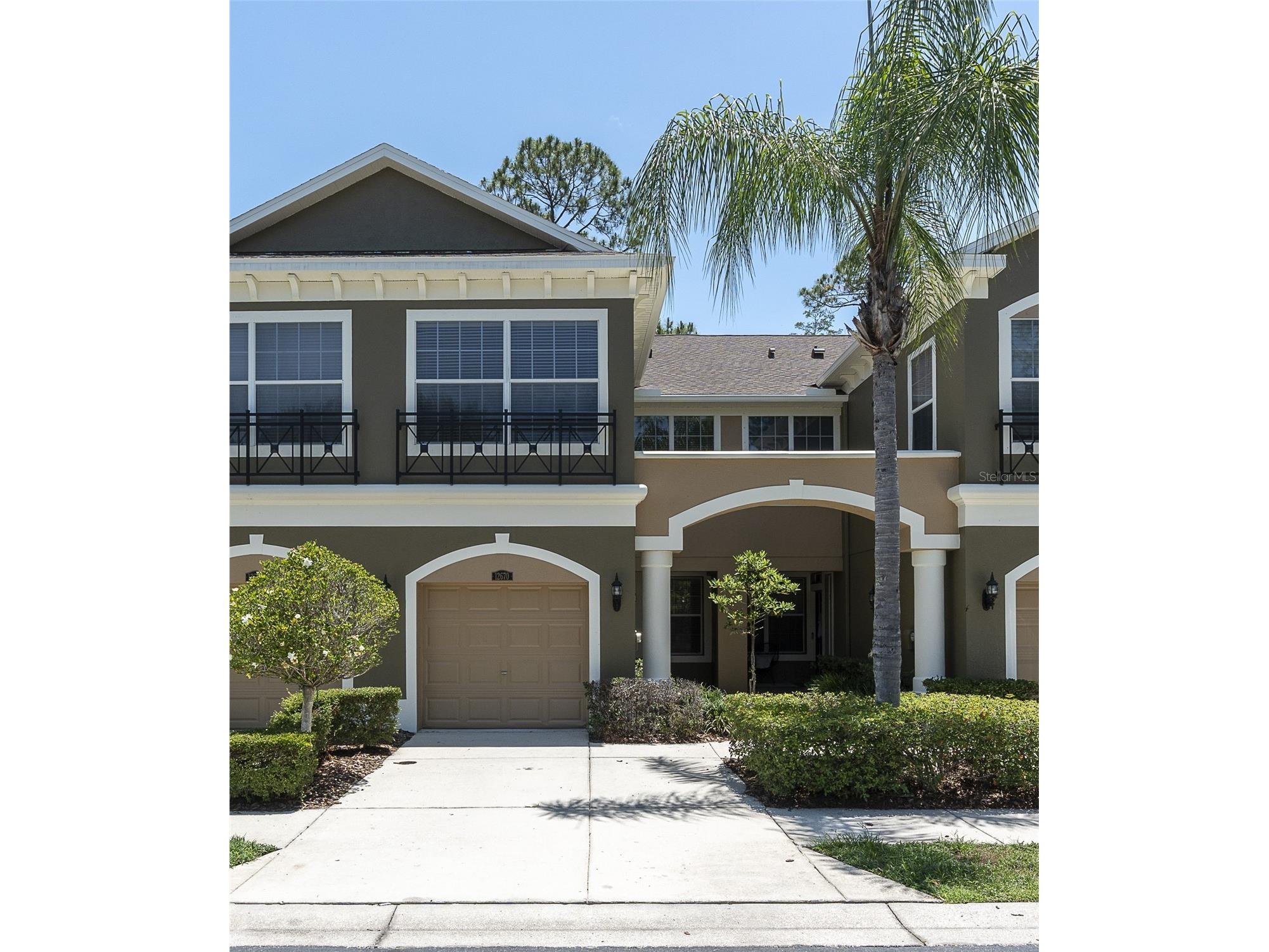 12670 Silverdale Street Tampa FL 33626 TB8515515 image1