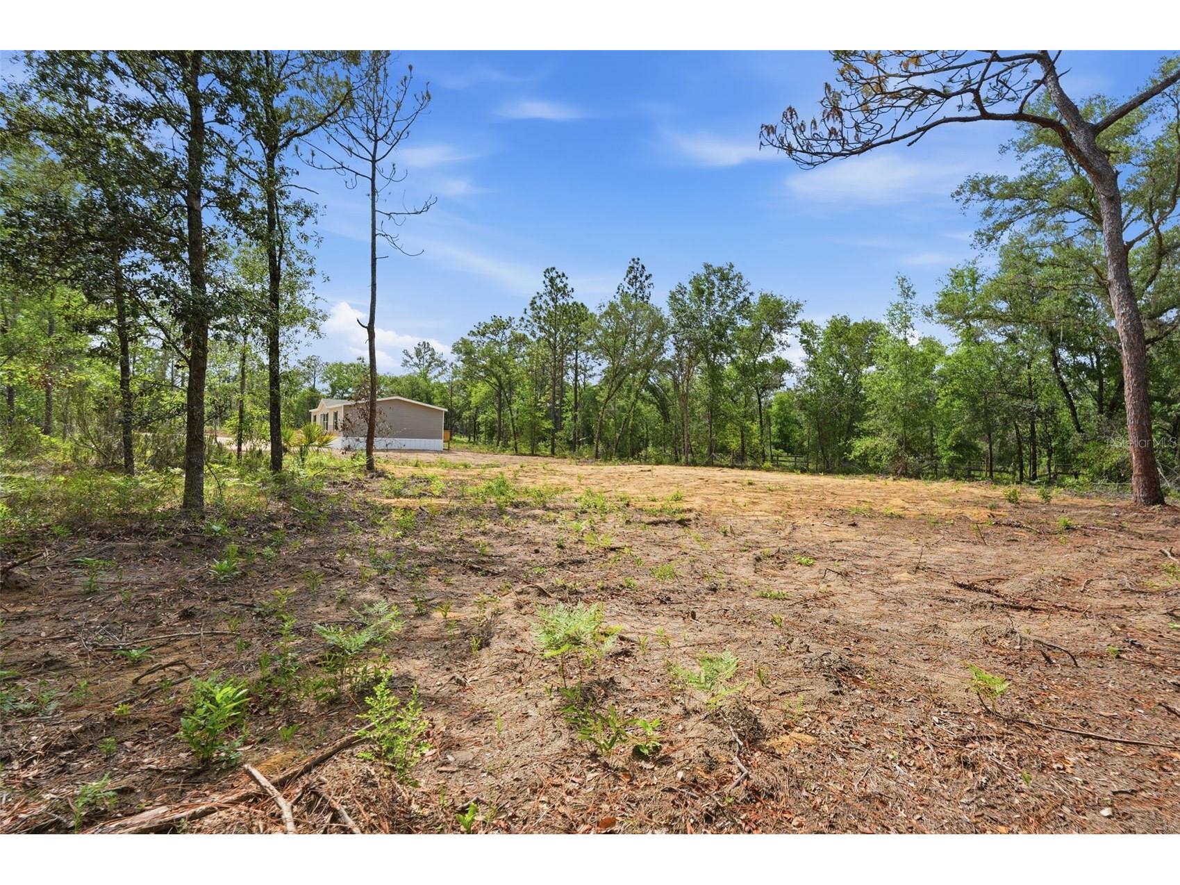12671 NE 16th Street Williston FL 32696 OM725290 image10