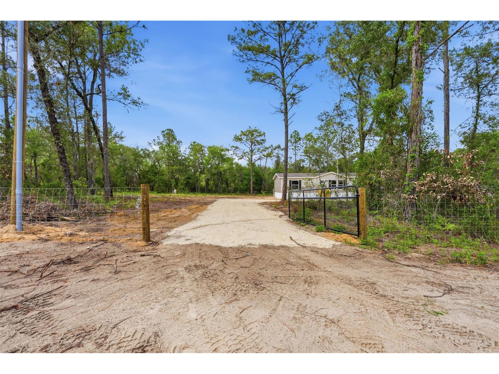 12671 NE 16th Street Williston FL 32696 OM725290 image2
