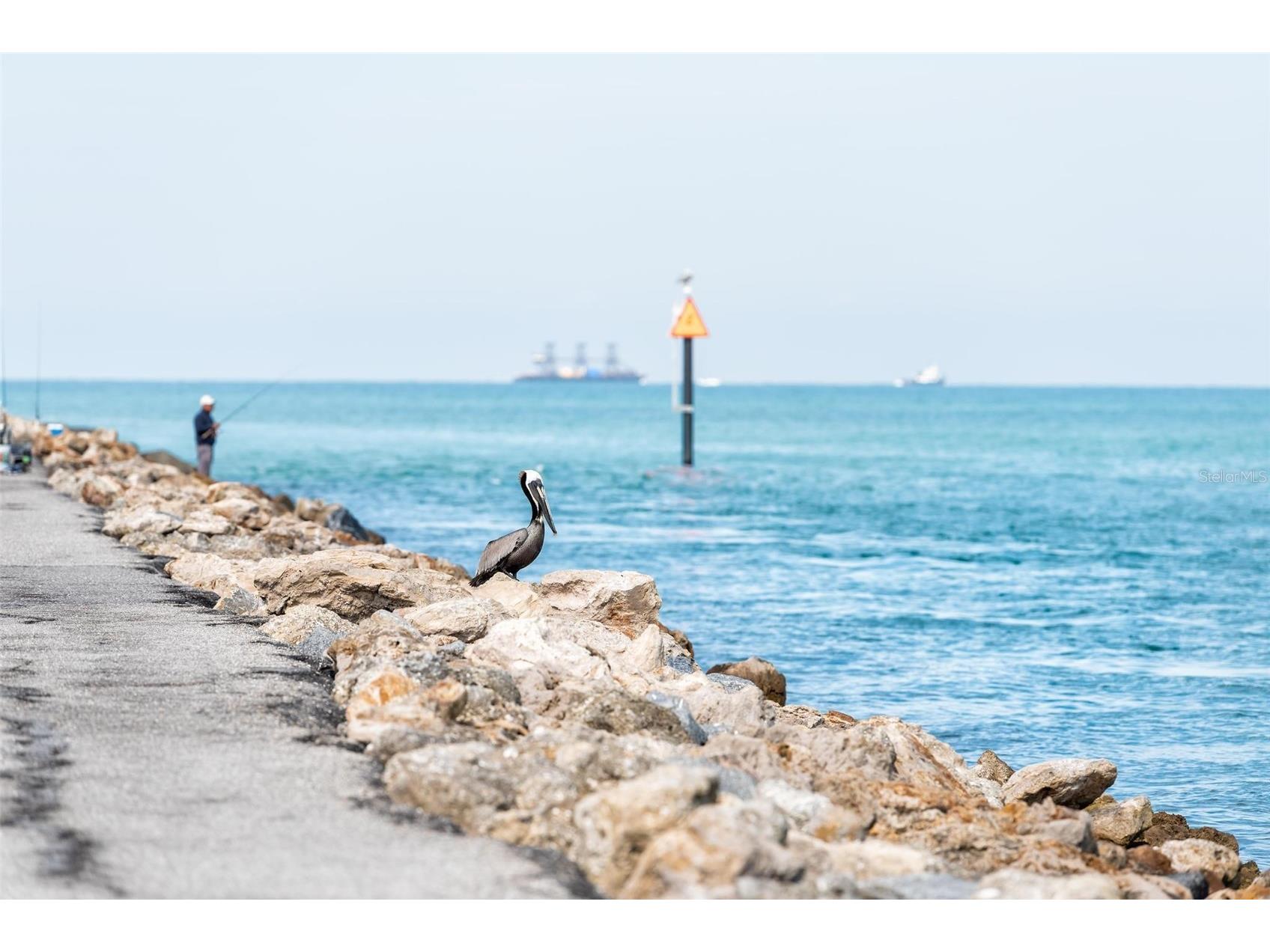 12673 Palatka Drive Venice FL 34293 A4685539 image46