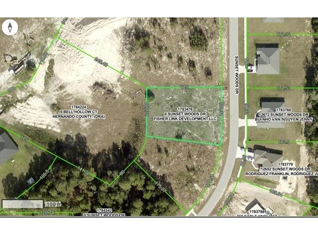 12673 Sunset Woods Drive Spring Hill FL 34609 W7875542 image1