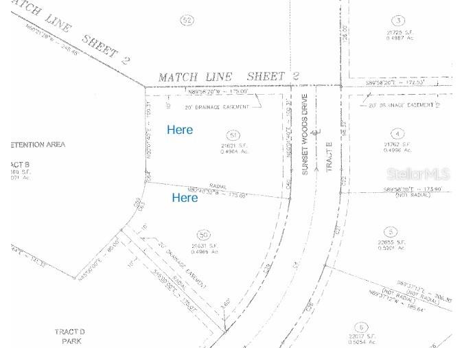 12673 Sunset Woods Drive Spring Hill FL 34609 W7875542 image2